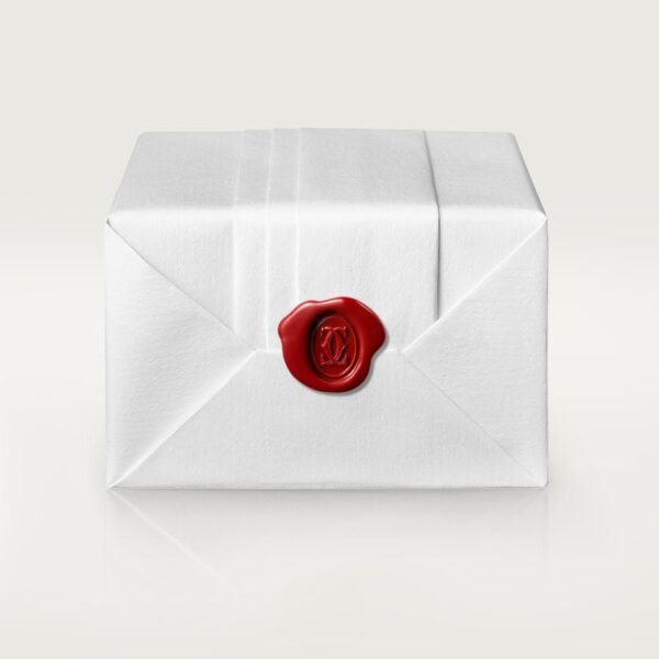 0CBF277E-0A79-996E-08F7-A033BF3D4BF9.jpg PANTHERE DE NECKLACE