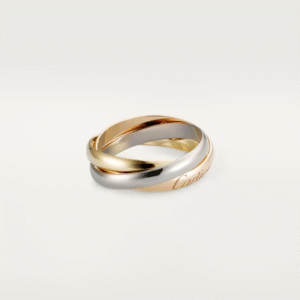 0D55A627-46A0-CBE4-5B69-DB54EB10AE03_219df496-b5f6-47c0-97dd-136a5aafefbe.png TRINITY RING, SMALL MODEL