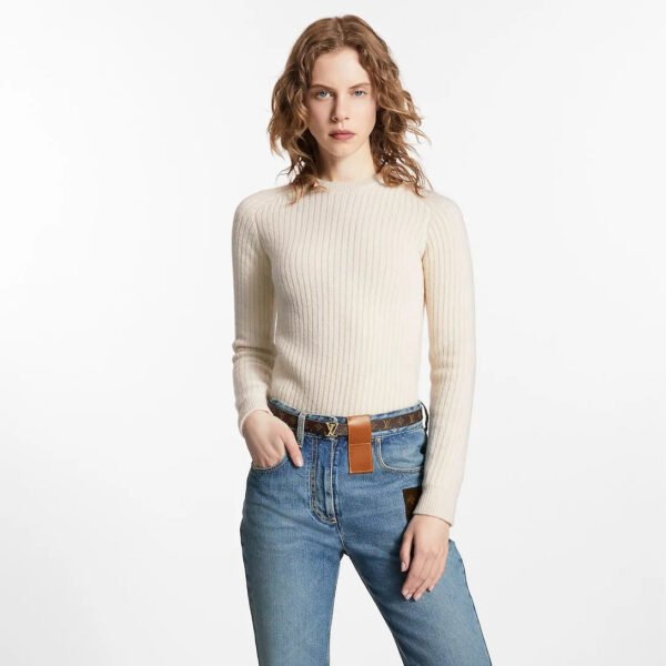 14A56B6C-0E06-AA6B-2B32-326FD764291D.jpg Iconic 20mm Reversible Belt