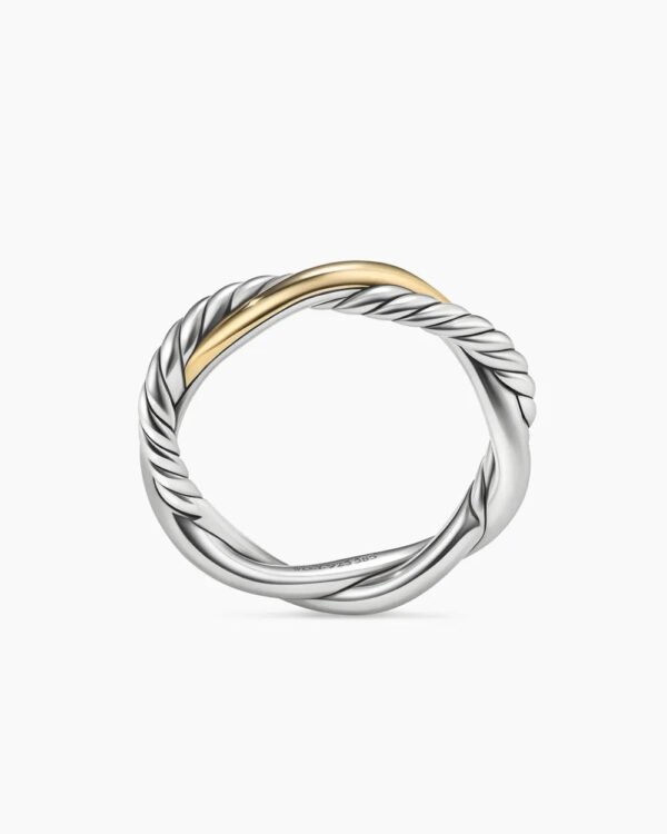 1BE2F02F-2709-7489-A02F-251742E2A39F.jpg Petite Infinity Band Ring Sterling Silver with 14K Yellow Gold, 4mm
