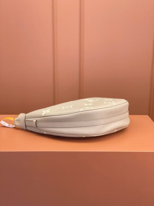 Louis Vuitton Loop Hobo M46738