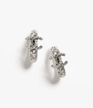 1F6F73B6-BF66-8D33-0EFF-FBEFBC6EC3F2.png HOOP EARRINGS