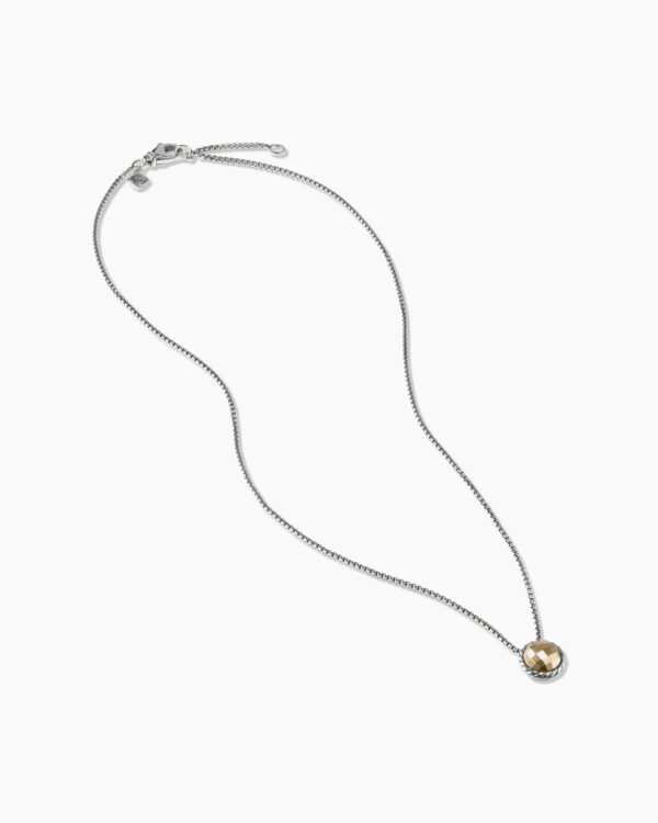 Petite Chatelaine Necklace Sterling Silver with 18K Yellow Gold Dome, 10mm