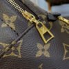 261250DC-8C78-CA17-2B02-3A579D147F57.jpg Louis Vuitton Palm Springs Mini M44873