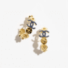 318175D2-9398-7403-EB21-FA461D48696D.png HOOP EARRINGS