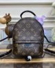 34A87E1C-1CC2-F1D9-E256-92A6E0AB6C42.jpg Louis Vuitton Palm Springs Mini M44873