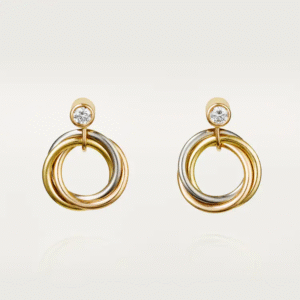 3A7D65E1-AC4F-971F-ADE0-09777E76ED11.png TRINITY EARRINGS