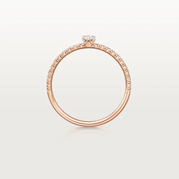 3B84875E-7F7D-8D70-35F2-277009078632-1.png ÉTINCELLE DE RING