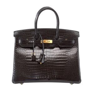 Birkin 35 Black Porosus Crocodile with Gold Hardware