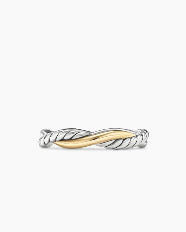416B5C66-F22E-AE81-152F-B531B8CEEC9B.jpg Petite Infinity Band Ring Sterling Silver with 14K Yellow Gold, 4mm