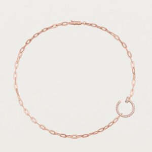 45345B75-1B57-293E-4BA7-6019ED9277EA.jpg JUSTE UN CLOU NECKLACE