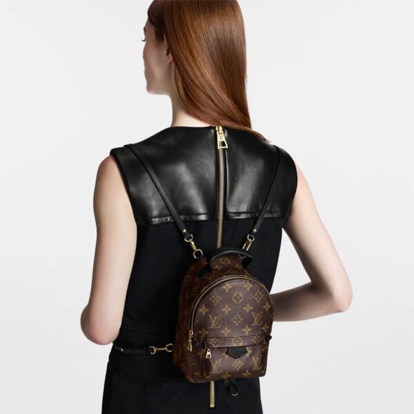 4DF3A735-2899-2E9D-F73F-4F4E964369B4.jpg Louis Vuitton Palm Springs Mini M44873