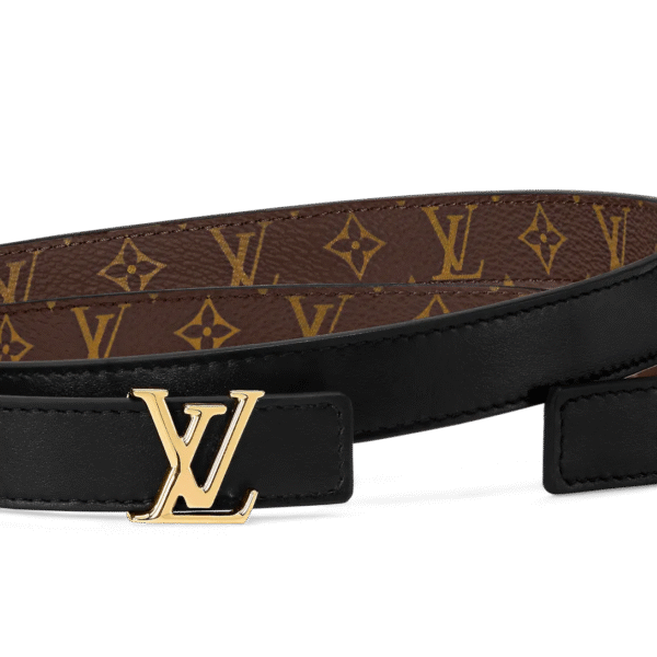 4E24E013-EF79-C21E-8D9B-18FBE926F496.png Iconic 20mm Reversible Belt