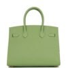 Birkin 35 Vert Criquet Epsom with Palladium Hardware