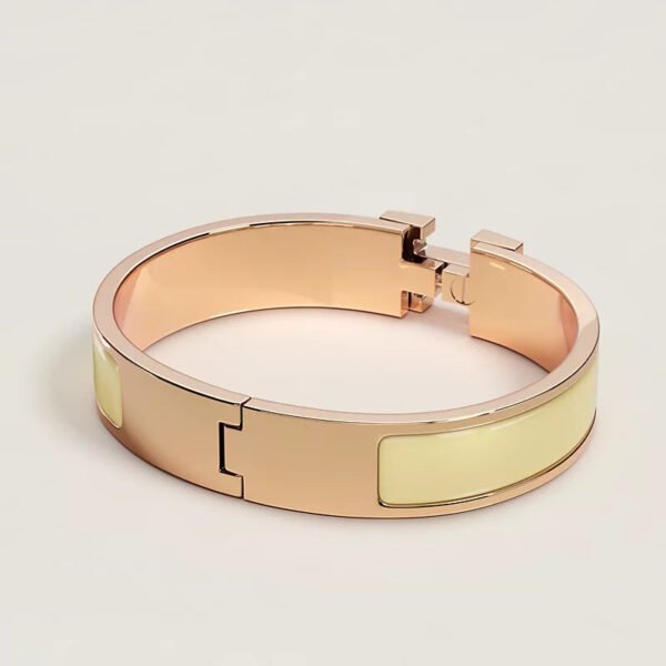 57EA6929-BD85-56AA-6E0A-B93EFB1BEB02.jpg Hermes Clic H bracelet