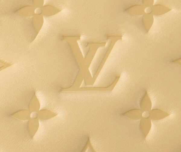 5E6F956D-3053-CC84-4F06-C04606C5E5F6.jpg Coussin PM M25112