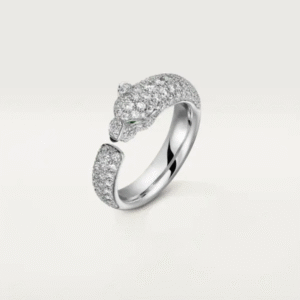 6348391B-2A9E-C720-36BA-F20CA5605B77.png PANTHERE DE RING