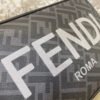 Fendi  Camera case Bag