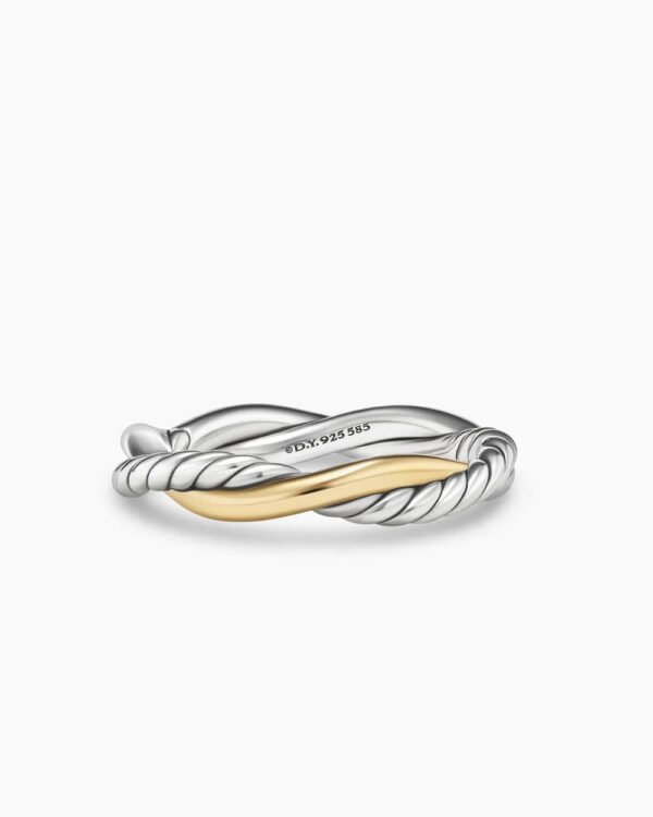 6902F003-DE79-FB5A-385B-7C67B6FFDE28.jpg Petite Infinity Band Ring Sterling Silver with 14K Yellow Gold, 4mm