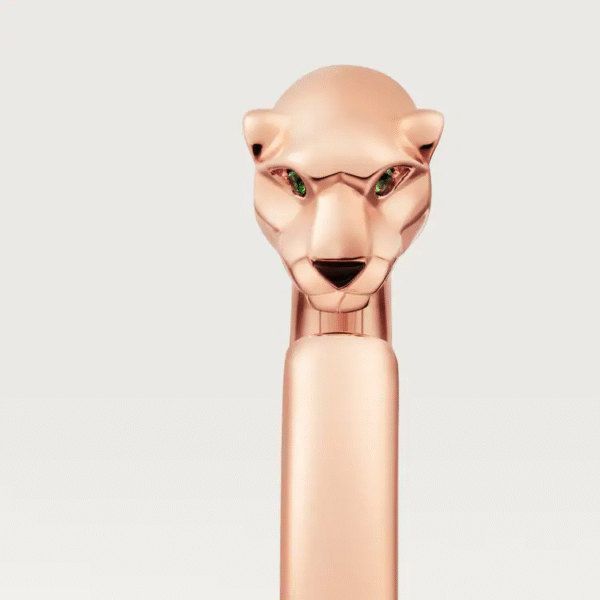 6ABF96A8-105A-A6C8-8EB5-509D147BA497.png PANTHERE DE BRACELET