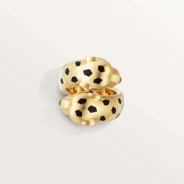 6B13F6F9-4158-A919-65B8-A64DEFA9BF27-1.jpg PANTHÈRE DE RING