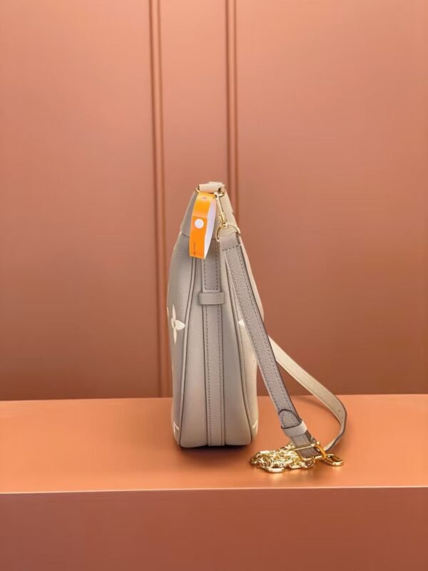 Louis Vuitton Loop Hobo M46738