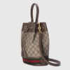 82715A9D-20BD-BE4A-89DB-461211F8E171.jpg OPHIDIA SMALL BUCKET BAG