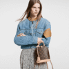 844C124A-EA57-54AD-D39A-B237391F5CEB.png Louis Vuitton Alma Backpack M47132