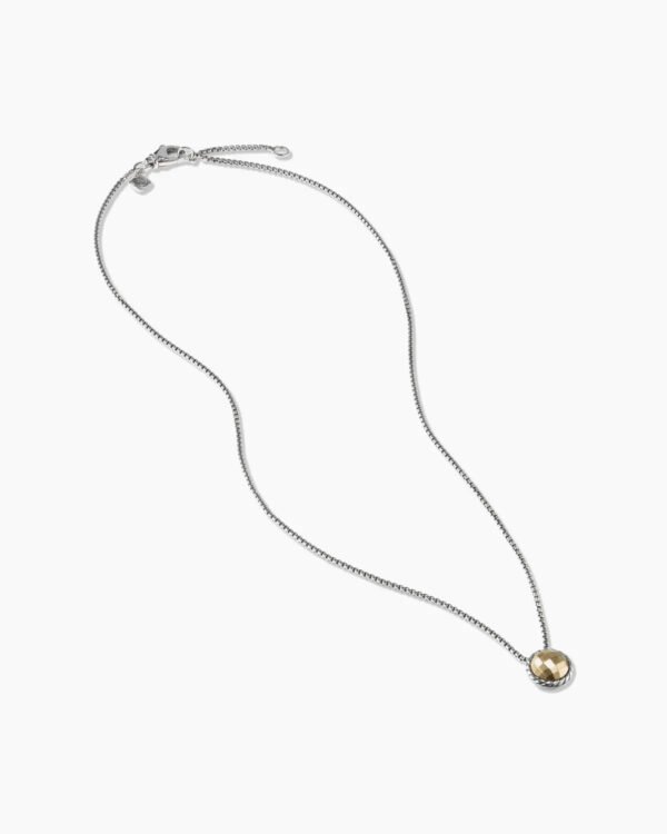 Petite Chatelaine&reg; Necklace Sterling Silver with 18K Yellow Gold Dome, 10mm
