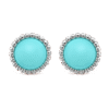 8E6DC89A-47ED-DED8-8017-5B20F27765FF.png Perlee couleurs earrings