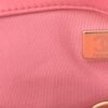 Lambskin Quilted Medium Chanel 19 Flap Light Pink