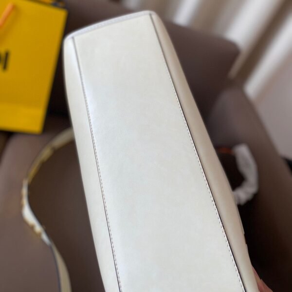 8F4B8AF6-0615-3AF0-1E38-564DD9F1232A.jpg Fendi Sunshine Medium