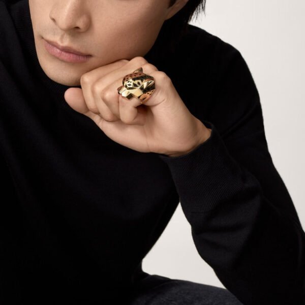 959C3AD1-8563-1732-A60A-6F2EF53383F1-1.jpg PANTHÈRE DE RING