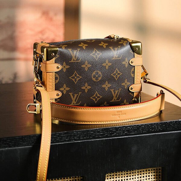 95B0F77C-1B3D-33DB-AE6F-403C8FDFCDC8.jpg Louis Vuitton M46815 Side Trunk PM