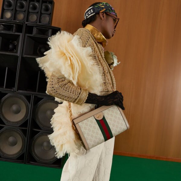 9F6ECA55-BF9B-83C7-9337-E045F02CC9E2.jpg OPHIDIA SMALL SHOULDER BAG