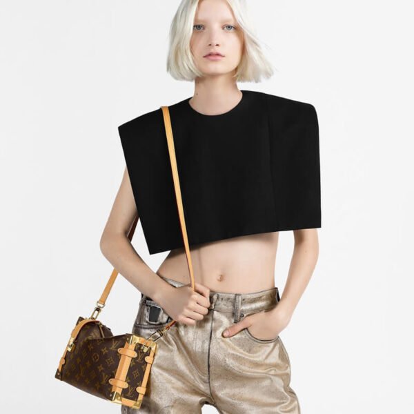 Louis Vuitton M46358 Side Trunk MM