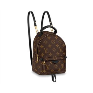B2CB1CE5-6E97-D7F7-D1EC-D8F5E3AD23C4.jpg Louis Vuitton Palm Springs Mini M44873