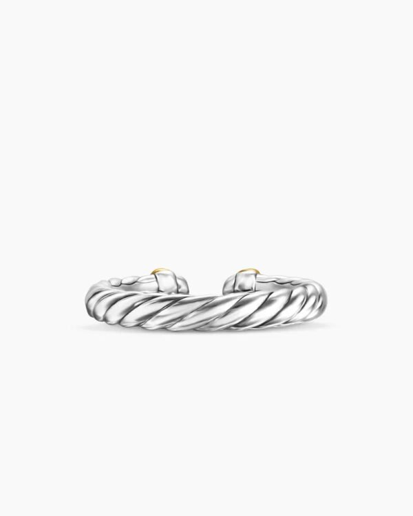 B5DE7DF9-6A94-55CB-0A0F-7EBA9725FD4E.jpg Petite Cable Ring Sterling Silver with 14K Yellow Gold - 6