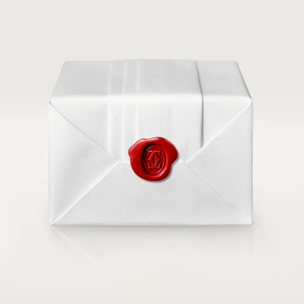 C5C41250-A081-7A13-0652-19CCB0CF3548_ae9f36f3-8d38-43cd-931d-2636dfd9765b.png JUSTE UN CLOU NECKLACE