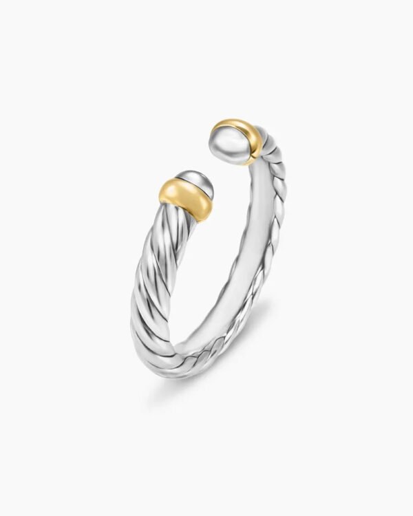 C6F33EE6-B20E-EBDD-70E5-1A3342FDDE25.jpg Petite Cable Ring Sterling Silver with 14K Yellow Gold - 6