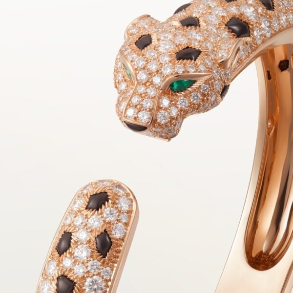 CB019704-C86D-1016-0455-5874DB71419A.jpg PANTHÈRE DE BRACELET