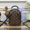 D238481F-0819-61A6-227B-F4AF4197EBD7.jpg Louis Vuitton Palm Springs Mini M44873