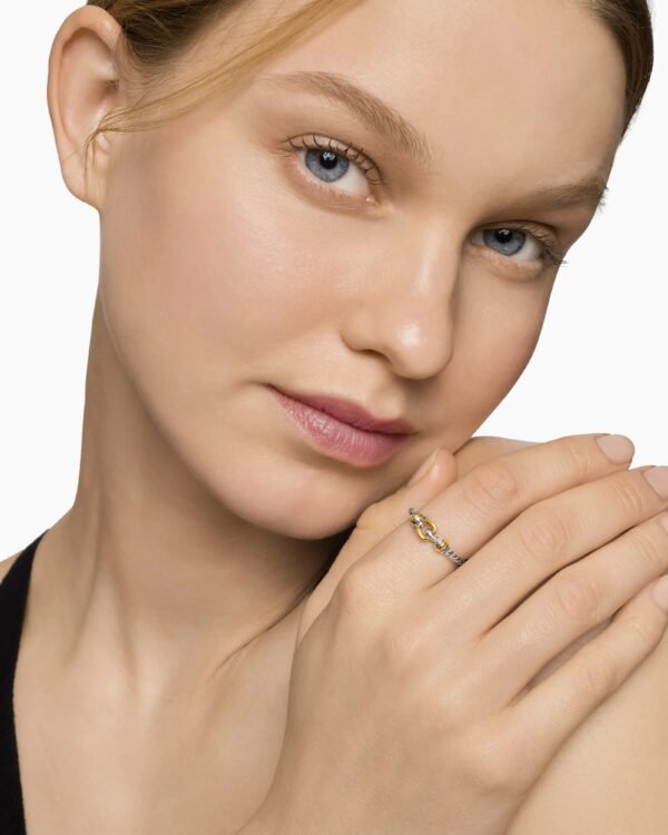 Petite Buckle Ring Sterling Silver with 18K Yellow Gold, 2mm - 6