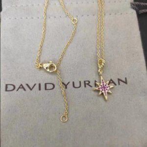 D825697C-146A-7978-1F48-D7488537A50A.jpg North Star Amulet 18K Yellow Gold with Diamonds