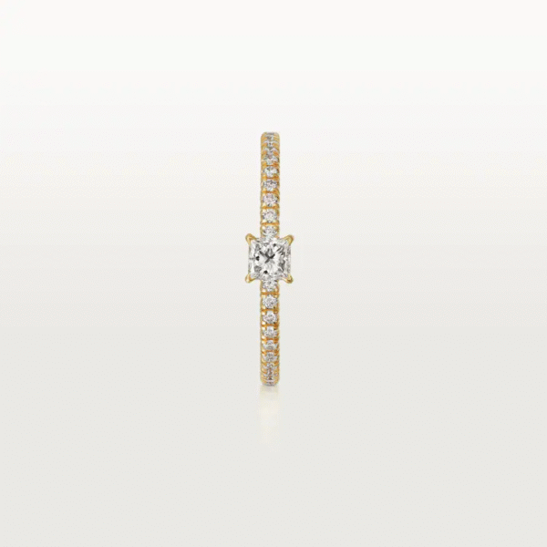 E173B2ED-3DAB-730B-5C49-6EF058B81AC7-1.png ÉTINCELLE DE RING