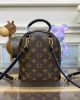 E3C8DD5B-5A52-7346-CD89-897A162469FB.jpg Louis Vuitton Palm Springs Mini M44873