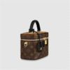E5A629E0-8D1D-D524-5F5E-8EBC56794E52.png Vanity Chain Pouch M47125