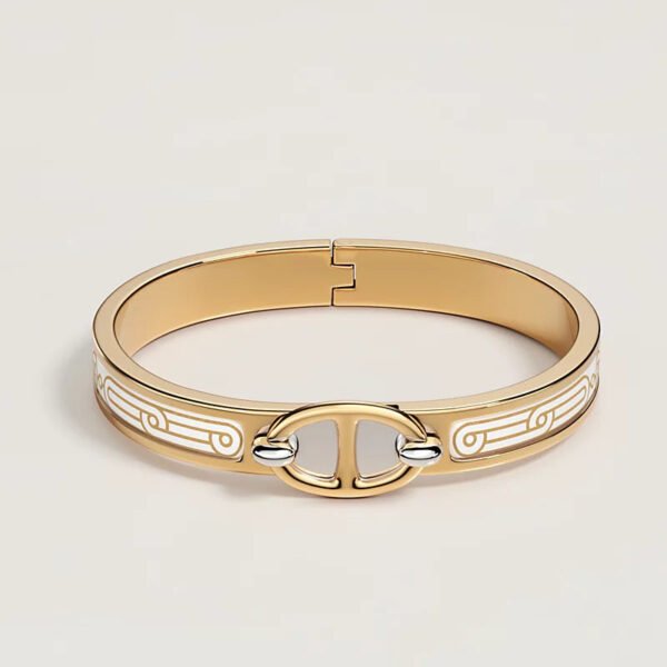 EA0265AE-0E62-EA62-C5C2-8ED40A263E3A.jpg Hermes Mini Clic Chaine d'Ancre Hermès Sellier bracelet