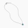 EC1B8AC5-43A0-2884-684D-C95CF0A62B48.jpg Petite Chatelaine Necklace Sterling Silver with Blue Topaz, 10mm