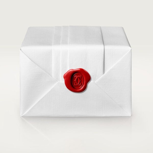 ED77BCE5-99B4-3C31-02F2-79A056D157A2.jpg JUSTE UN CLOU NECKLACE